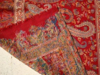 pashmina shawl wool 